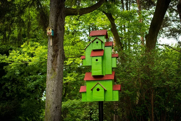 Casa Nella Foresta Gli Uccelli Casa Verde Legno Uccelli Nel — Foto Stock