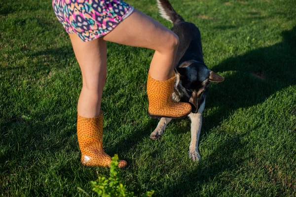 Carino Ragazza Adolescente Divertirsi Con Cane Pastore Tedesco Carina Giovane — Foto Stock