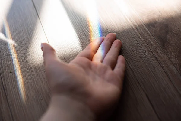 Kleuren Van Het Leven Regenboog Handen Van Vrouw Pak Een — Stockfoto