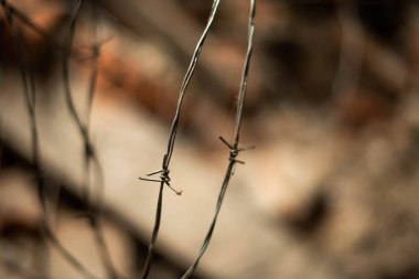 Dikenli tel arka plan. Dikenli tellerle. Seçici odak.