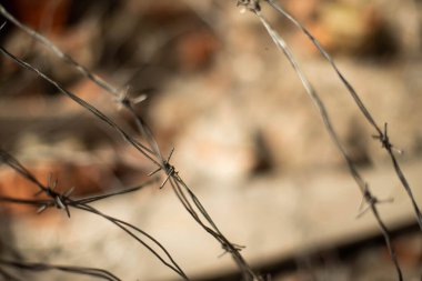 Dikenli tel arka plan. Dikenli tellerle. Seçici odak.