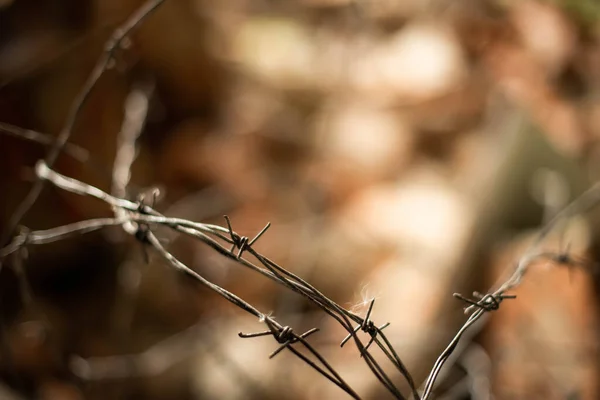 Barbed wire background. Fence with barbed wire. Selective focus.