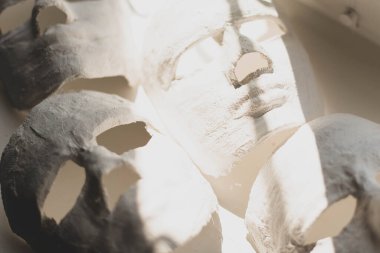 İnsan yüzlerinin boş alçı maskeleri