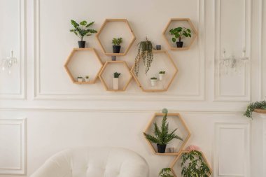 Modern yeşil iç mekan. Tropik Yapraklar Arkaplanı. Odada farklı güzel bitkiler var. Ev dekorasyonu