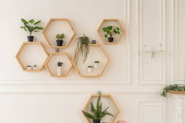 Modern yeşil iç mekan. Tropik Yapraklar Arkaplanı. Odada farklı güzel bitkiler var. Ev dekorasyonu