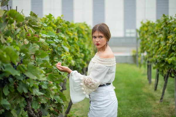 ブドウ畑で白いドレスの美しいファッショナブルな10代の女の子の女性 ブドウ畑で美しい夕日を眺めながら — ストック写真