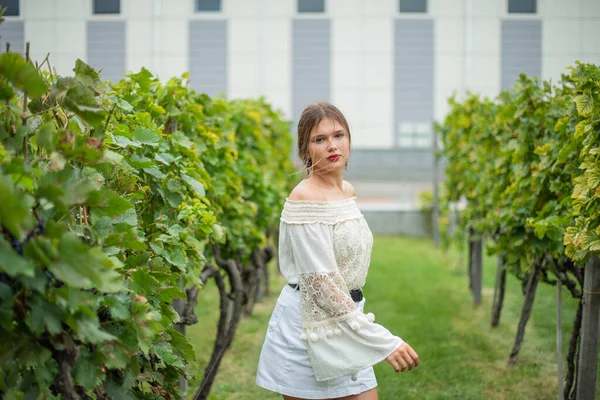 ブドウ畑で白いドレスの美しいファッショナブルな10代の女の子の女性 ブドウ畑で美しい夕日を眺めながら — ストック写真