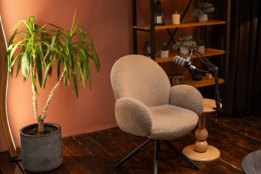 Bir podcast röportajı tezgahta mikrofonun yanında bir sandalye gösteriyor. Yakınlarda bir saksı bitkisi ve süslemeli raflar var. Stüdyo sıcak renklere ve ahşap zeminlere sahiptir..