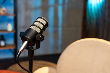 Bir odadaki standın üzerine bir mikrofon yerleştirilir. Arka planda hafif ışıklandırma ve eşyalarla dolu raflar var. Bu ayar bir podcast kaydetmek için alanı gösterir.