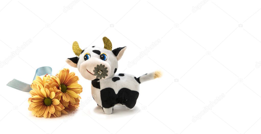 Toy white ox, zodiac sign lunar new year 2021 and flowers isolated on white background. New year symbol. Copy space for text