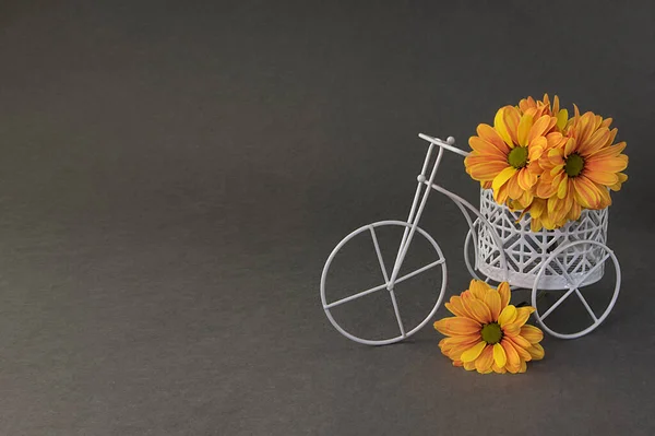 Оранжевые Желтые Цветы Хризантемы Маленьком Игрушечном Белом Велосипеде Мини Трицикле — стоковое фото