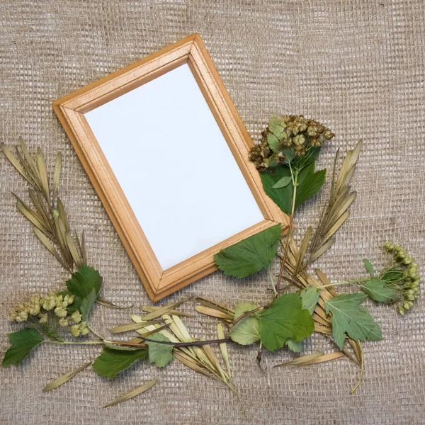 Blank yellow frame, plants and seeds on sackcloth background. Top view flat lay autumn composition. Mock-up nature scene.