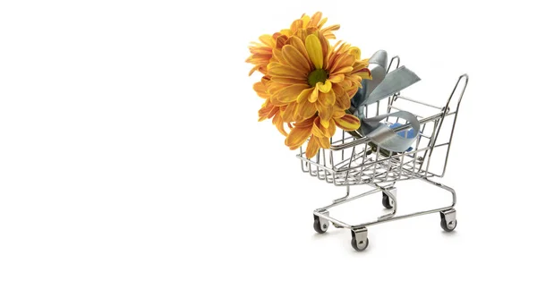 Bukett Med Gula Krysantemum Blommor Liten Shoppingvagn Isolerad Vit Bakgrund — Stockfoto