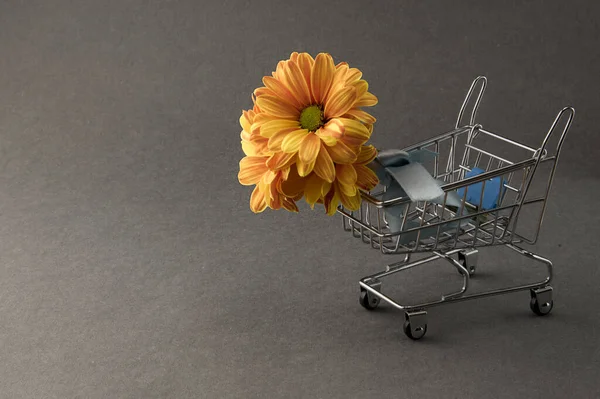 Bukett Med Gula Krysantemum Blommor Liten Shoppingvagn Grå Bakgrund Kopiera — Stockfoto