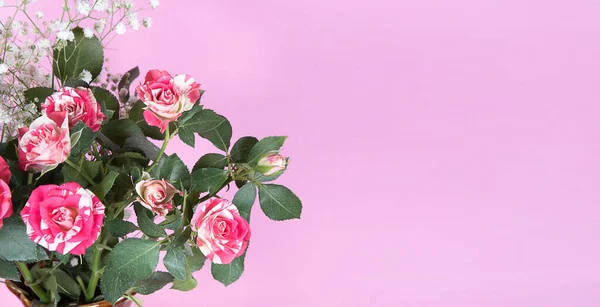Scheda Bouquet Rosa Rossa Isolato Sfondo Rosa Con Spazio Copia — Foto Stock