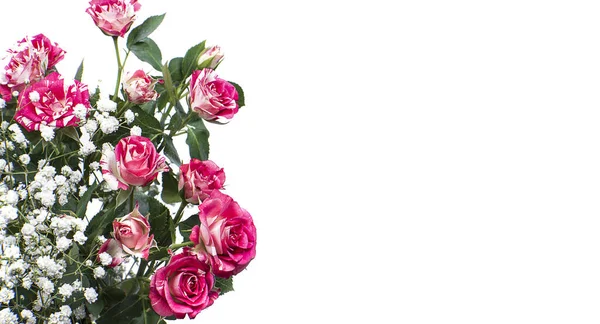 Scheda Bouquet Rosa Rossa Isolata Sfondo Bianco Brillante Con Spazio — Foto Stock