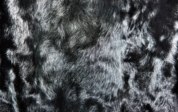 Texture Fond Fourrure Naturelle Chèvre Noire Pour Conception Animal Tombé — Photo