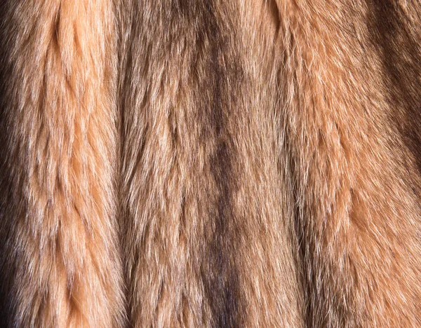 Brown Black Natural Fur Background Texture Design Orange Animal Fell — Stock Photo, Image