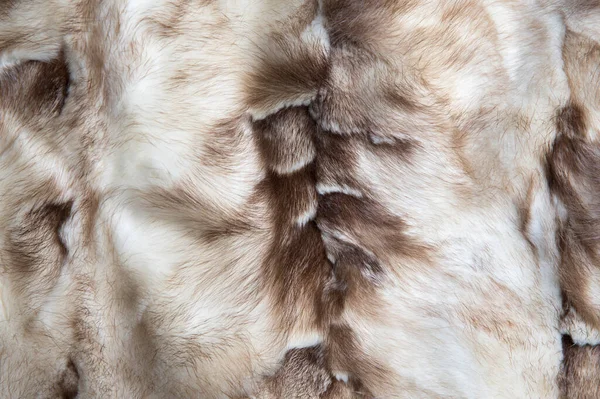 棕色和白色貂皮的天然毛皮背景纹理设计 动物掉落 — 图库照片