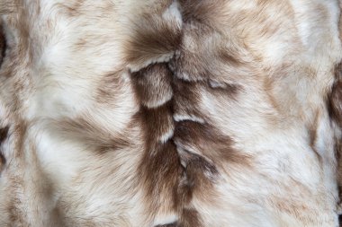 Kahverengi ve beyaz vizon kürk doğal tasarım dokusu, hayvan düştü