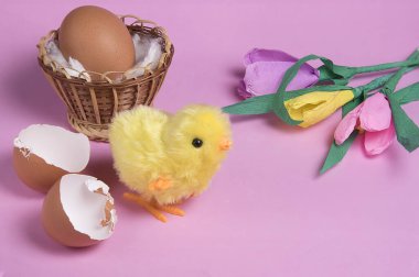 Yumurtadan çıkan oyuncak paskalya yavrusu ve yumurtadan çıkan yumurta pembe arka planda. Kopyalama alanı