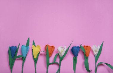 Sevgililer Günü 'nün pembe arka planında lale çiçekli bir çerçeve. Bahar bayrağı. Mutlu kadınlar günü. Kopyalama alanı, düz alan. 