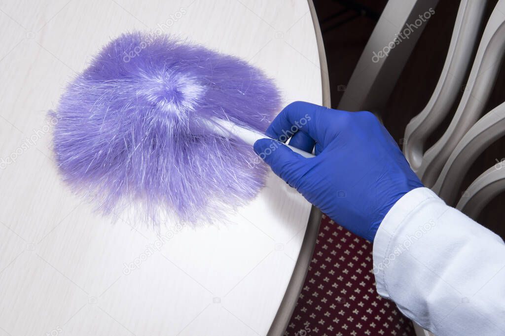 Housewife cleaning the house, wipes dust from table with blue whisk. Household chores. Domestic home cleaning. Cleaning service concept at home, apartments, hotels