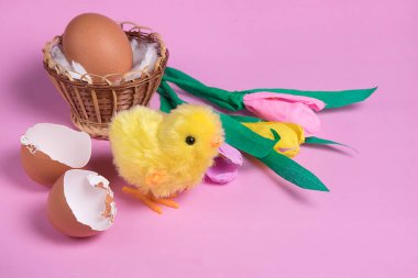 Oyuncak paskalya pilici pembe arka planda yumurta kabuğundan çıtırdıyor. Çatlak tavuk yumurtasından çıkan civciv. Kopyalama alanı