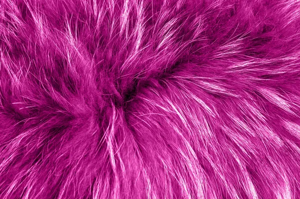 Pink Natural Fur Background Texture Design Rose Animal Fell — Stock Photo, Image