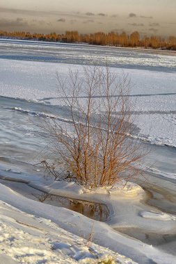 Çalı ve orman arka planlı kar nehri kış manzarası. İlkbahar buzu gölde eridi. Nehir kenarında donmuş buz ve kar 