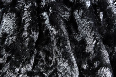Kara keçi doğal kürk arka planı tasarım için, hayvan düştü