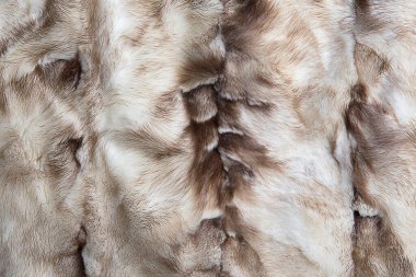 Kahverengi ve beyaz vizon kürk doğal tasarım dokusu, hayvan düştü