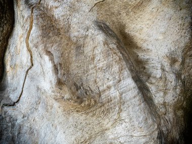 Kabuksuz eski ağaç gövdesi dokusu, koyu renkli tasarım için ahşap arkaplan