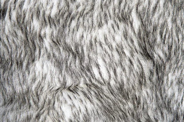 Gray Wolf Artificial Fur Background Texture Design Black White Fake — Stock Photo, Image