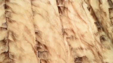 Kahverengi ve beyaz vizon kürk doğal tasarım dokusu, hayvan düştü