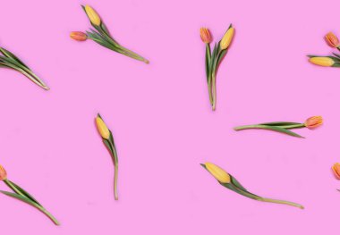 Pembe arka planda lale çiçekleri, pürüzsüz desen