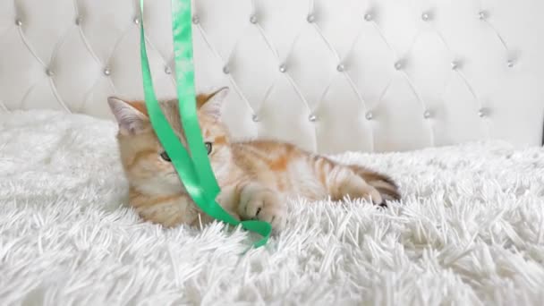 Gatinho Listrado Gengibre Vermelho Pequeno Deitado Brincando Com Fita Verde — Vídeo de Stock