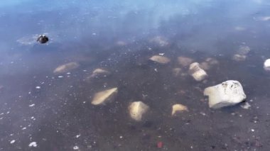 4K kirli su. Su yüzeyinde köpük ve yağ lekeleri var. Su kirliliği. Çevre koruma kavramı.