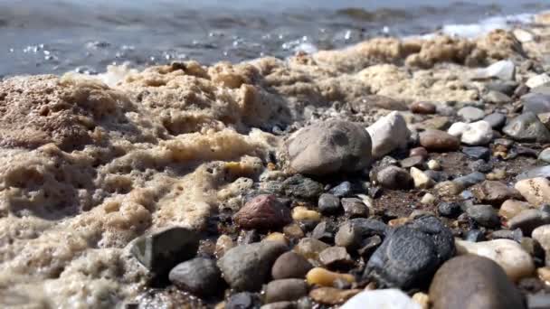 Забруднення Води Піна Поверхні Води Каміння Крупним Планом Вибірковий Фокус — стокове відео