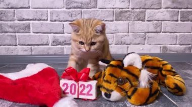 2022 kaplan sembolü, kırmızı kedi oyunu ve 2022 yazısıyla hediye kutusu.