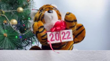 Hediye kutusu olan kaplan, Yeni Yıl 2022 Noel ağacının yanındaki sembol. 