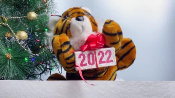 Tijger Met Geschenkdoos Nieuwjaar 2022 Symbool Bij Kerstboom — Stockvideo