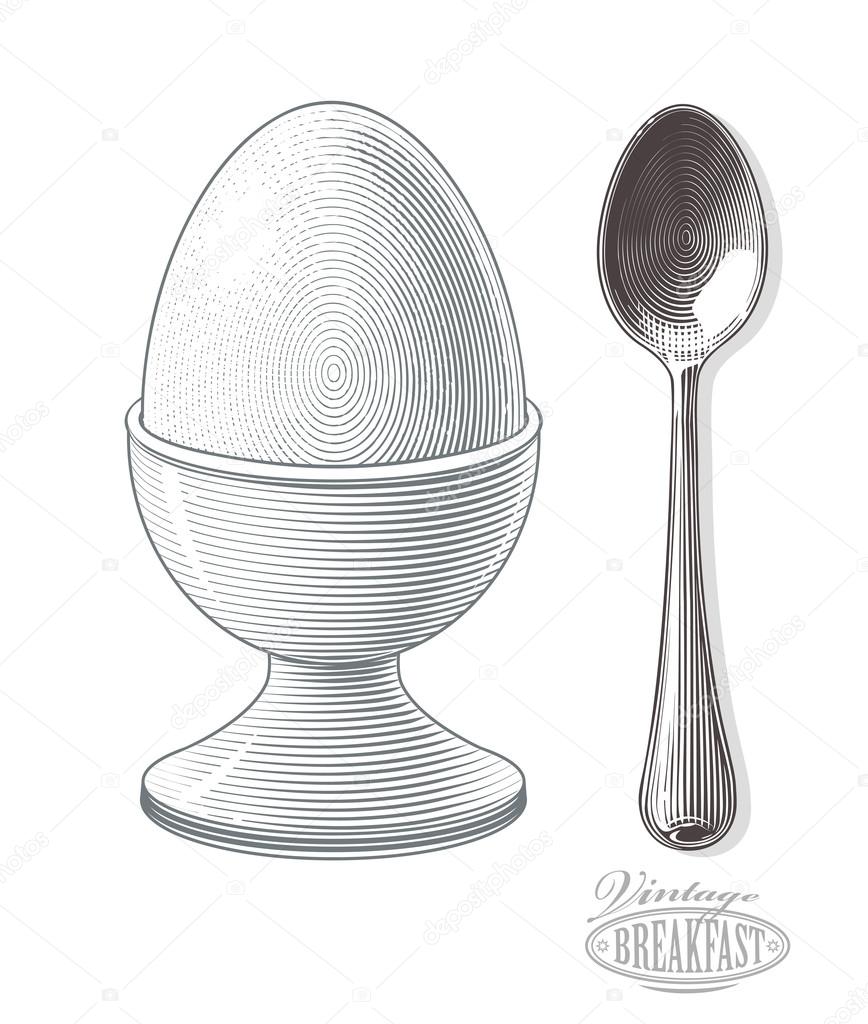 Boiled egg in eggcup with spoonv