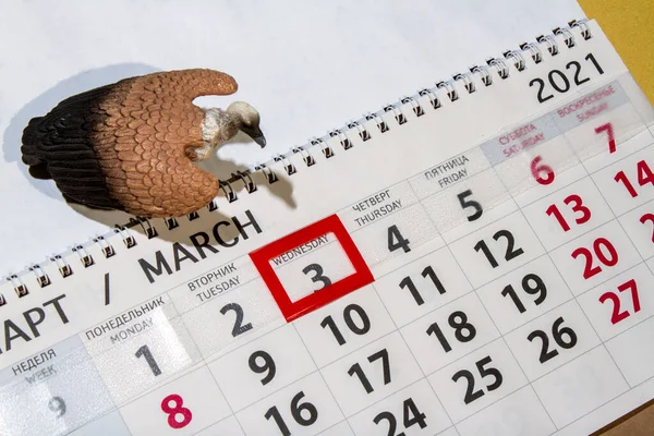 Calendar page on march 3 world wildlife day with vulture. vulture on calendar page