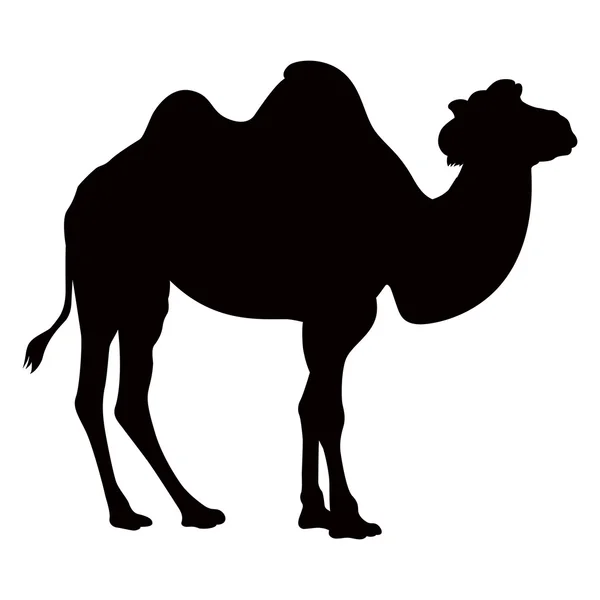 Three camel riders silhouettes — Stock Vector © YvenDienst #24317573