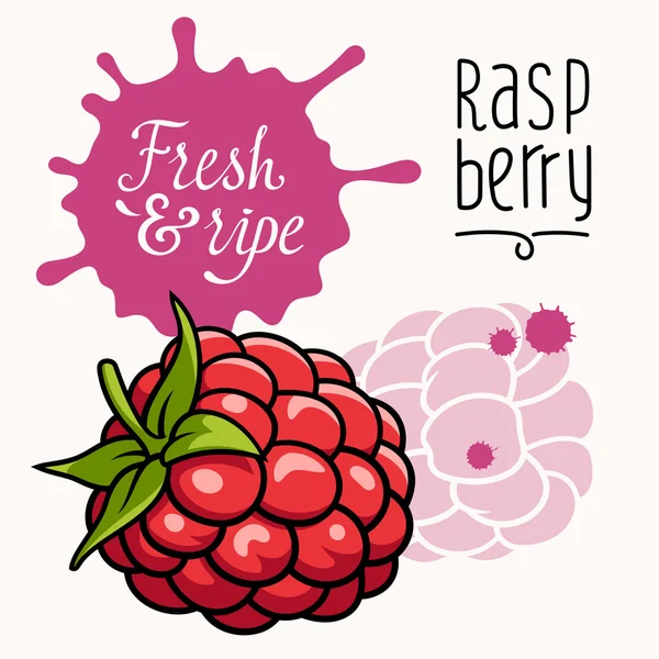 Concept de framboise — Photo gratuite