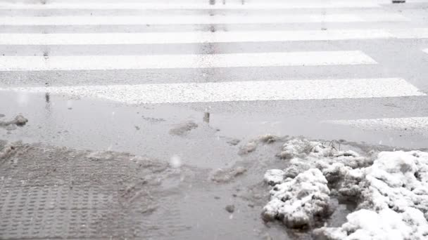 Пешеходный Переход Холодный Снежный Зимний День Прудом Водой Выбоине Талого — стоковое видео