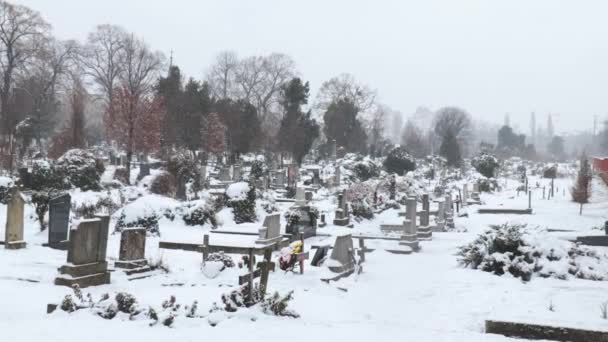 Cimetière Cimetière Avec Tombes Couvertes Neige Pendant Froide Journée Hiver — Video