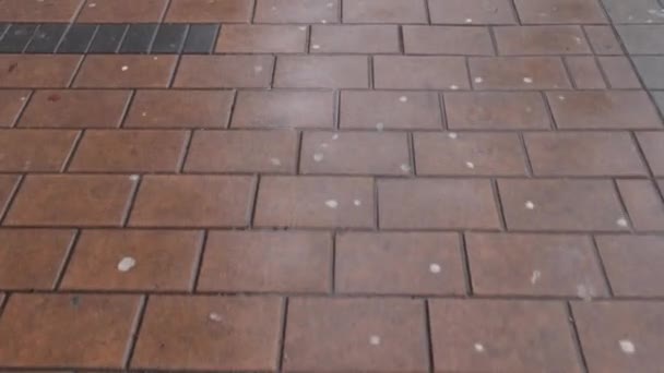 Vista Primeira Pessoa Andando Calçada Pedestre Molhada Escorregadia Neve Derretida — Vídeo de Stock