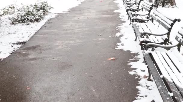 Día Frío Invierno Parque Con Nieve Hierba Bancos Madera Con — Vídeo de stock